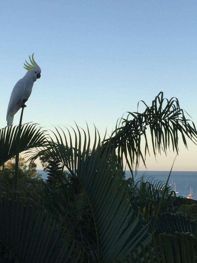 Island Views Bed and Breakfast Airlie Beach Buitenkant foto