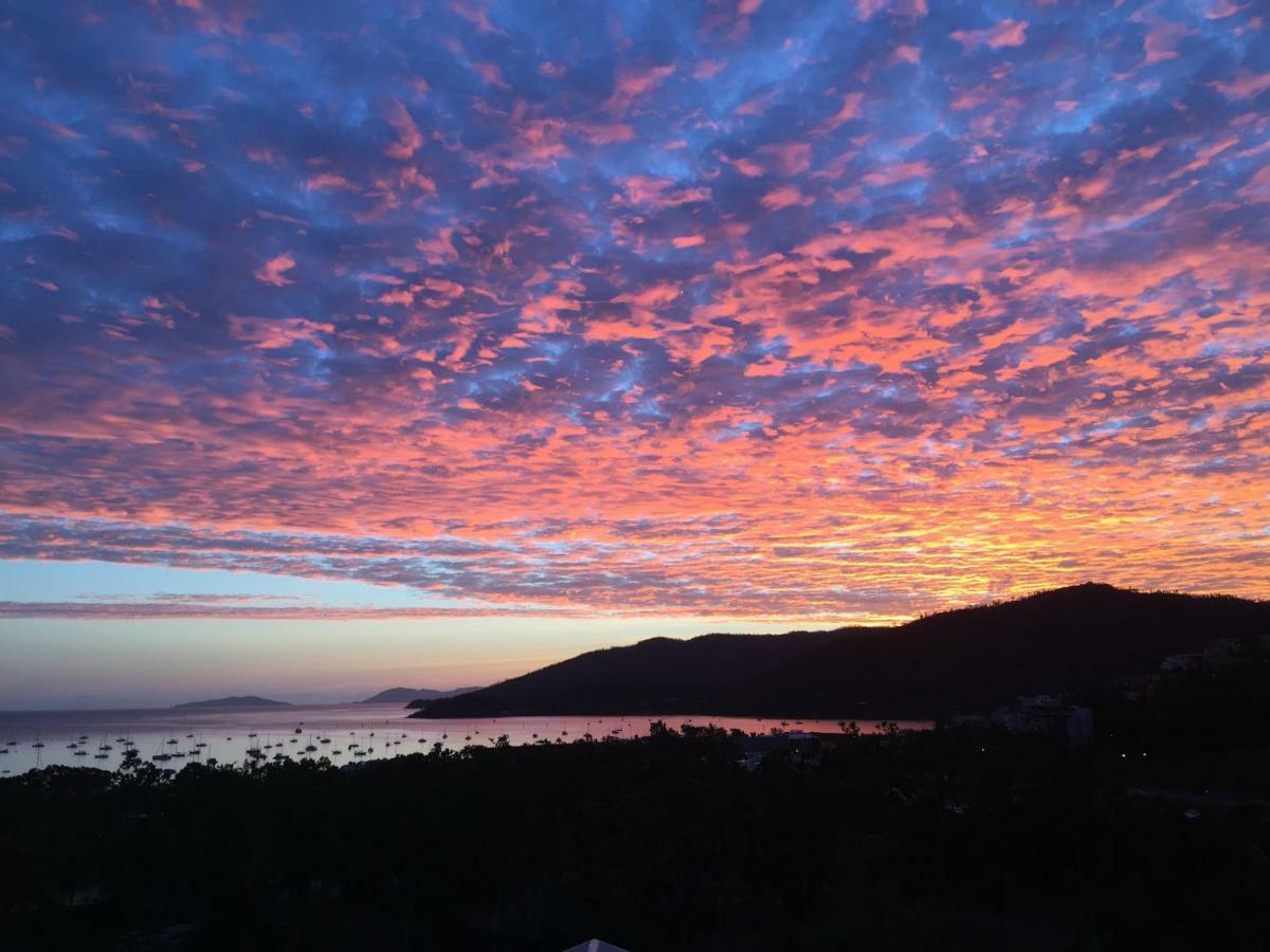 Island Views Bed and Breakfast Airlie Beach Buitenkant foto